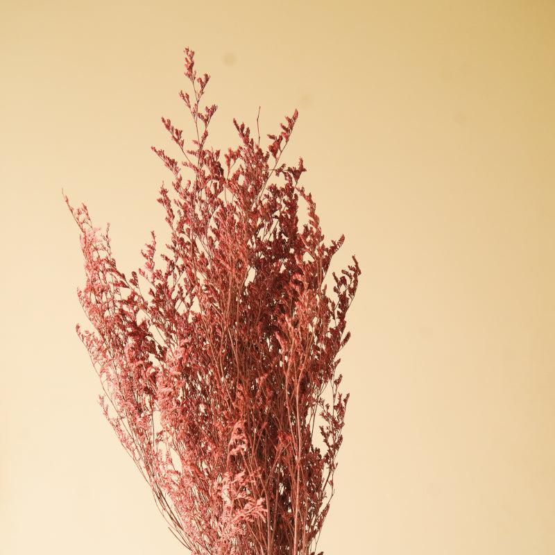 Buy Dried Limonium Millet Grass Flower Bunch - Set Of Three Artificial Flowers from Vaaree