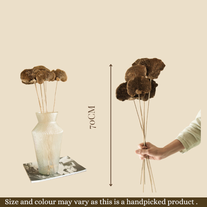 Artificial Flowers - Natural Sponge Mushroom Bunch - Set Of Five