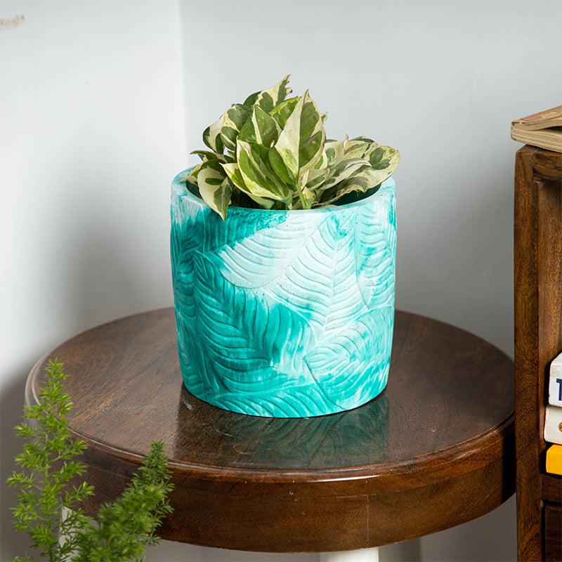 Buy Leaf Print Planter Pots & Planters from Vaaree