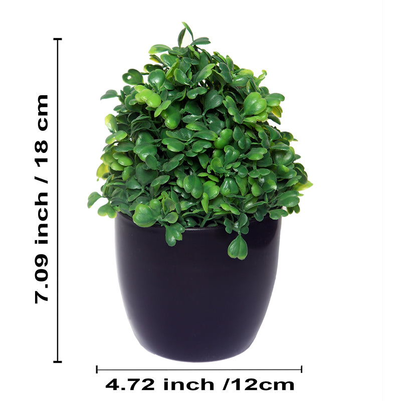 Buy Faux Sherry Plant With Pot - Set Of Three Artificial Plants from Vaaree