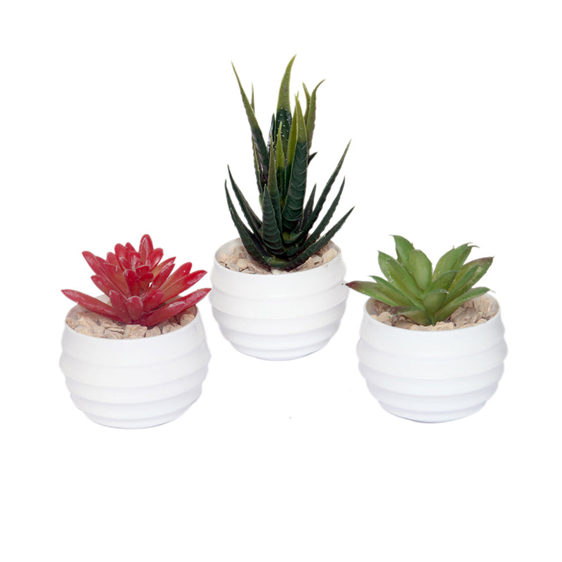 Buy Faux Moonglow Succulent With Pot Artificial Plants from Vaaree