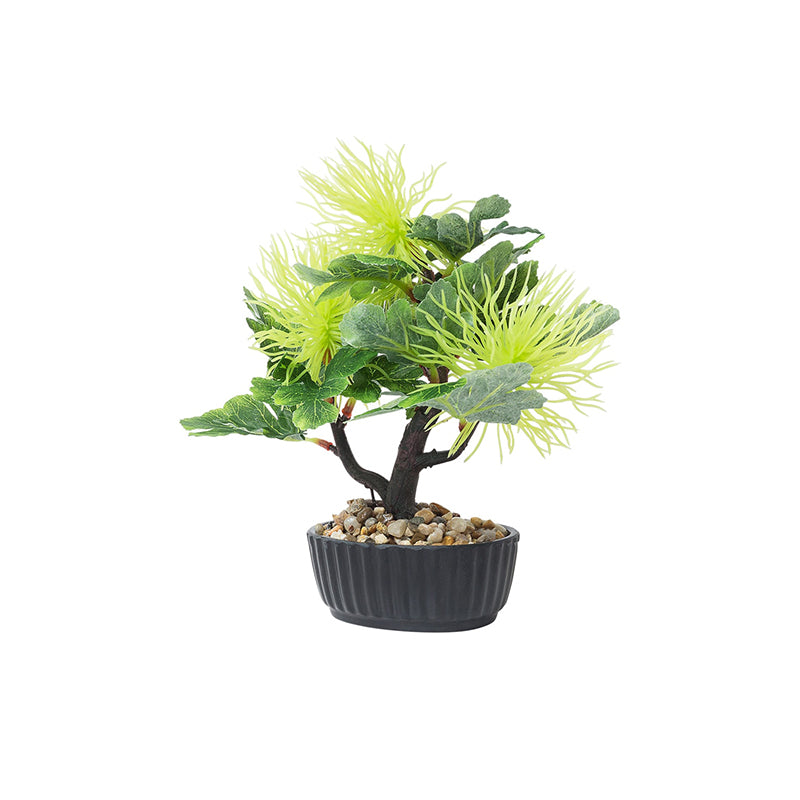 Buy Hema Faux Plant In Plant Photo Frames from Vaaree