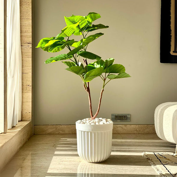 Buy Graila White Planter Pots & Planters from Vaaree