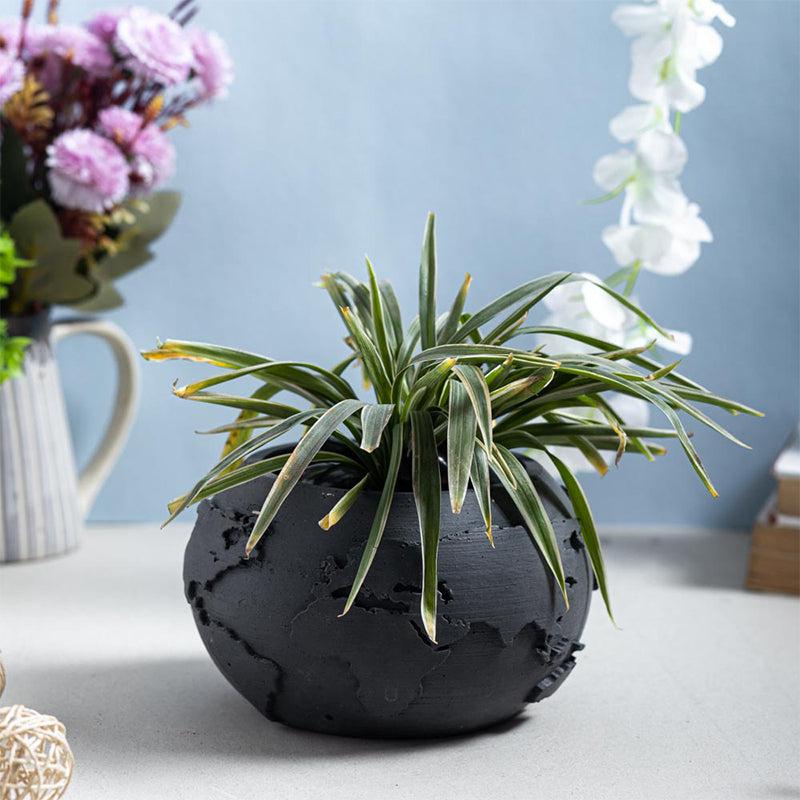 Buy Globo Round Planter Pots & Planters from Vaaree