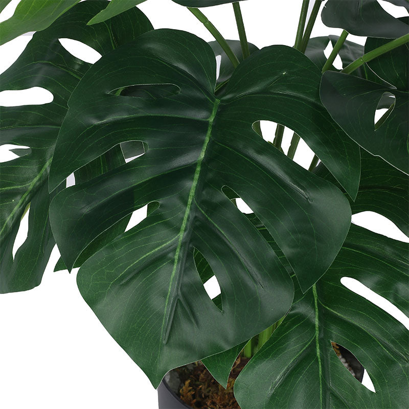 Buy Faux Multicolor Monstera Silk Plant With Pot - 55 cms Artificial Plants from Vaaree