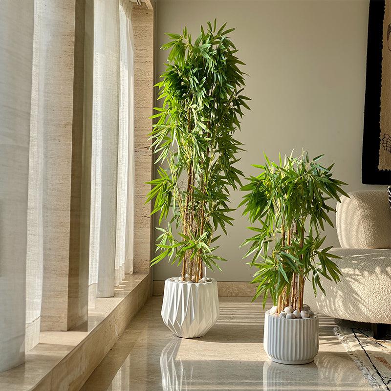 Buy Faux Drooping Bamboo Tree - 3 Feet Artificial Plants from Vaaree