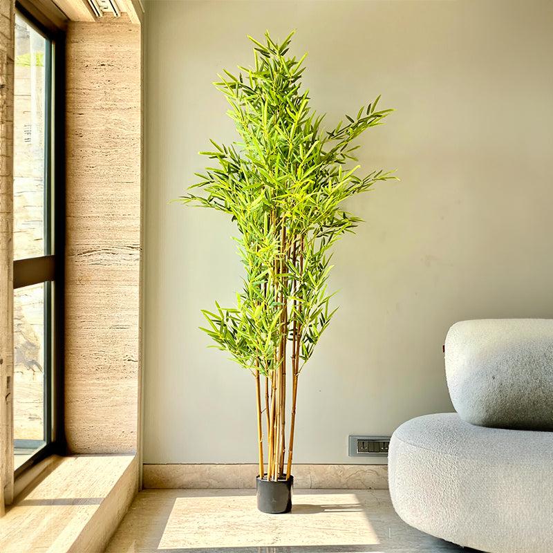 Buy Faux Japanese Bamboo Tree - 6 Feet Artificial Plants from Vaaree