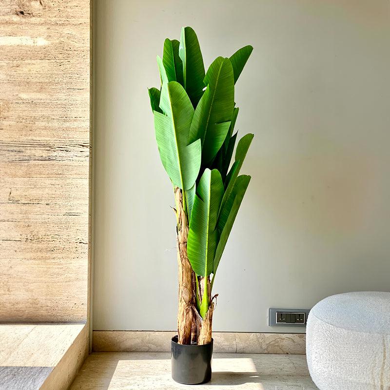 Buy Faux Banana Palm Tree - 5 Feet Artificial Plants from Vaaree