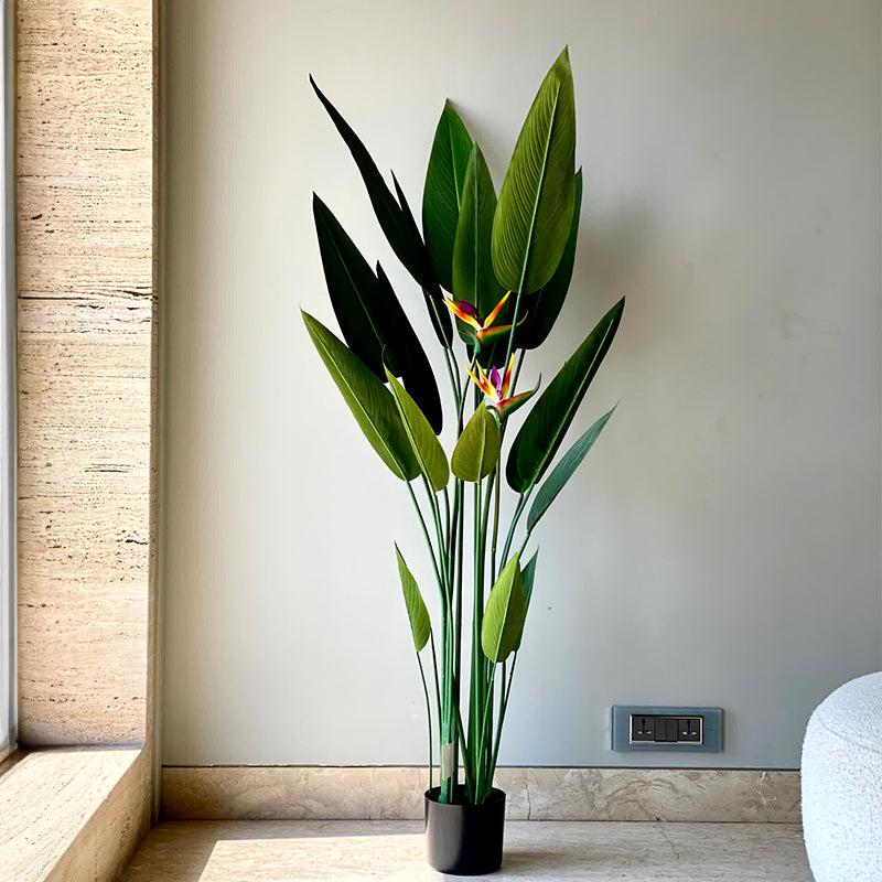 Buy Faux Strelitzia Palm Tree - 5 Feet Artificial Plants from Vaaree