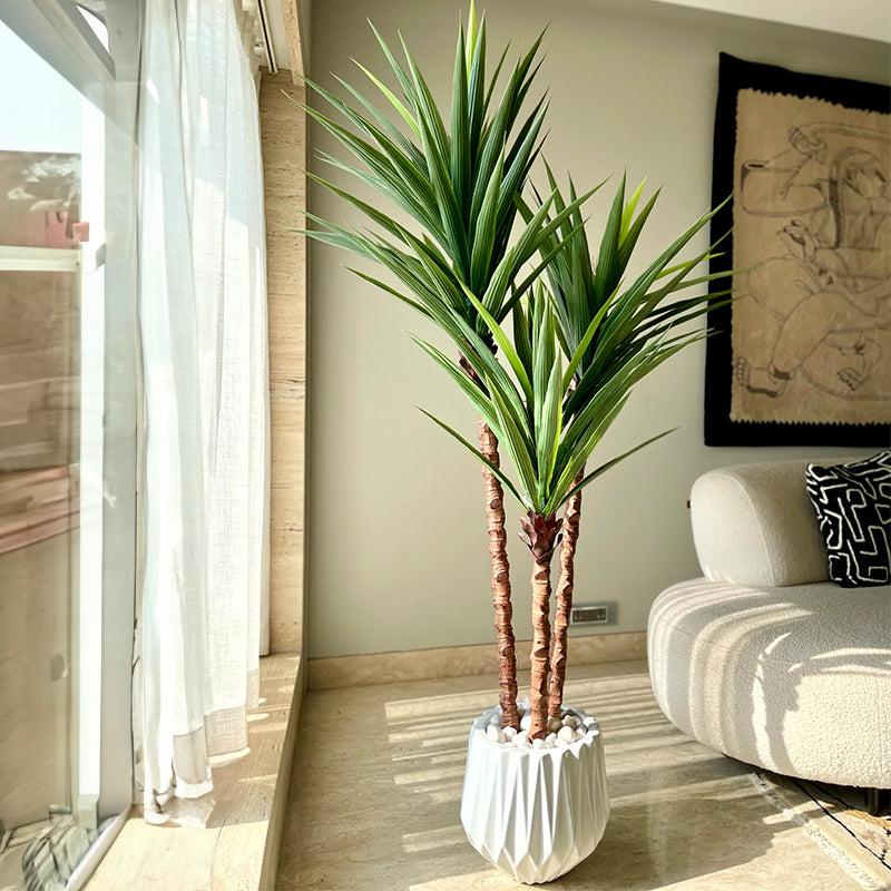 Buy Faux Yucca Tree - 6 Feet Artificial Plants from Vaaree