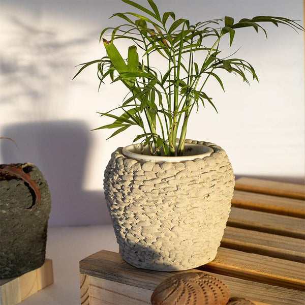 Buy Rasha Textured Planter Pots & Planters from Vaaree