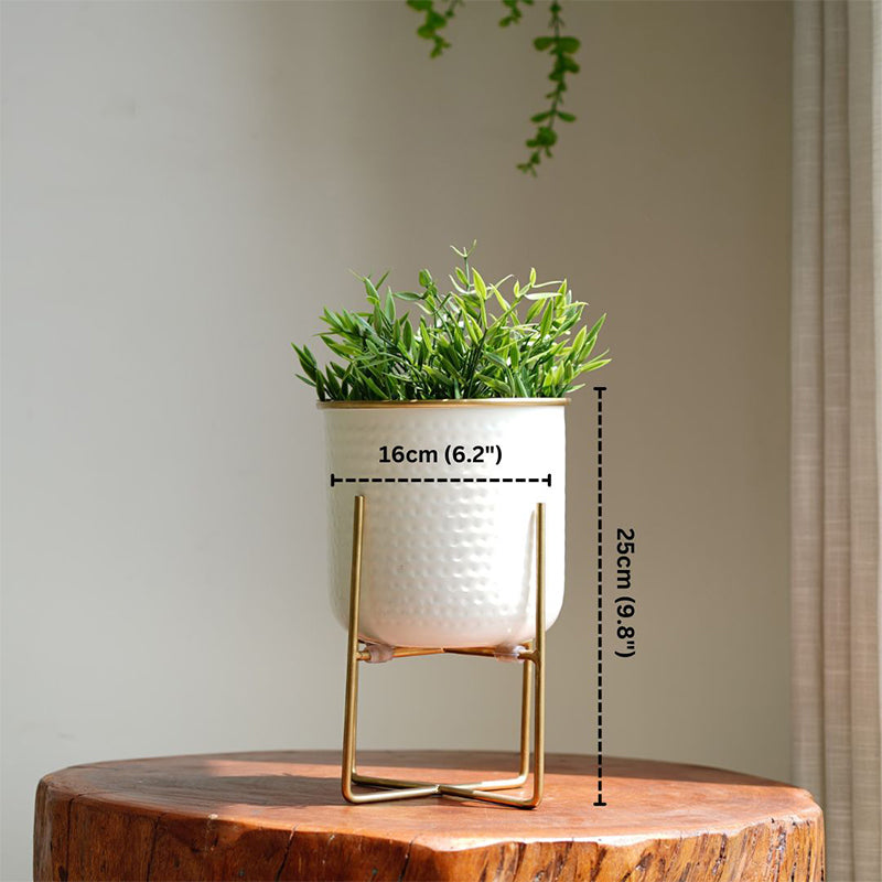 Buy Rhaella Iron Planter - Small Pots & Planters from Vaaree