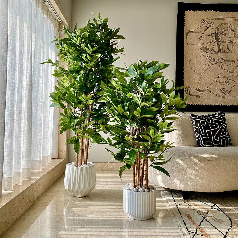 Buy Faux Dracaena Surculosa Tree - 4 Feet Artificial Plants from Vaaree