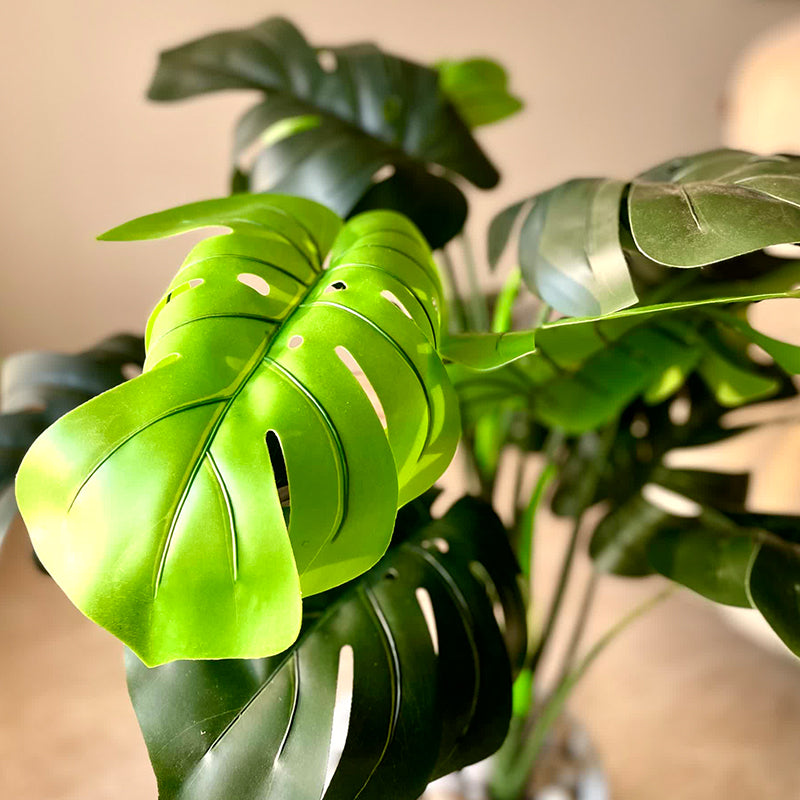 Artificial Plants - Faux Monstera Plant - 2 Feet