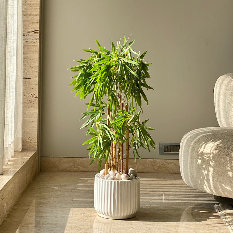 Artificial Plants - Faux Drooping Bamboo Tree - 3 Feet