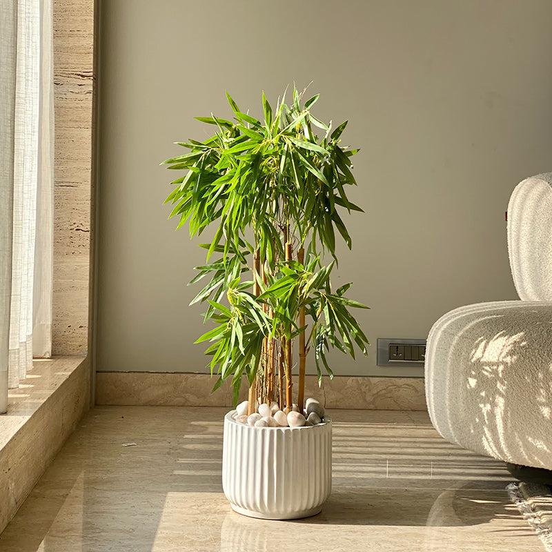 Buy Faux Drooping Bamboo Tree - 3 Feet Artificial Plants from Vaaree