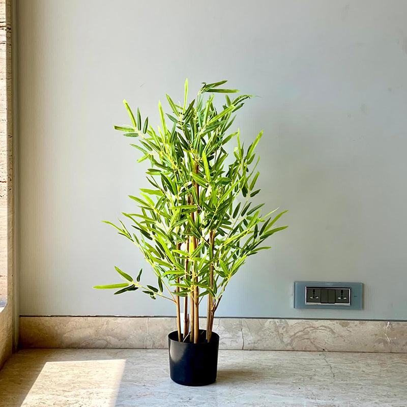 Buy Faux Japanese Bamboo Tree - 3 Feet Artificial Plants from Vaaree