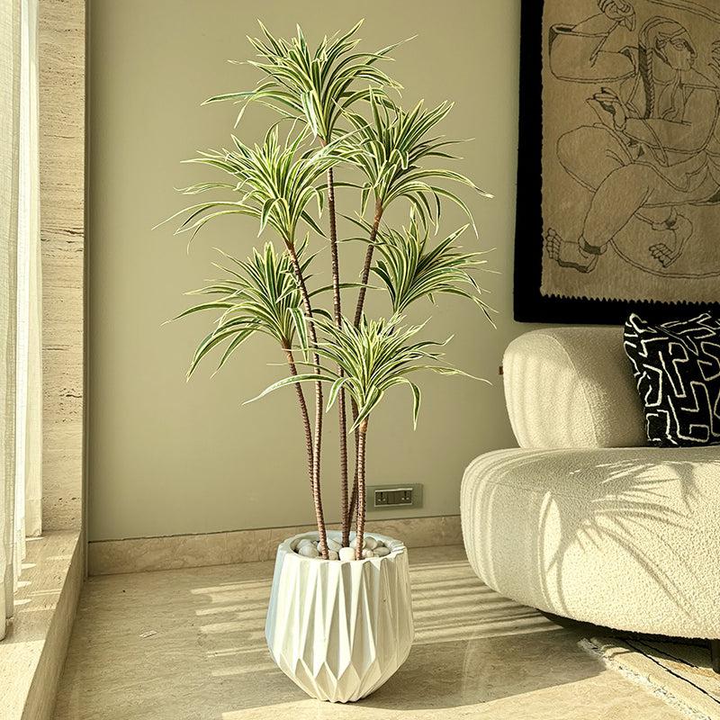 Buy Faux Spider Palm Tree - 4 Feet Artificial Plants from Vaaree