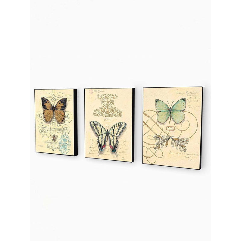 Wall Art & Paintings - Flutter Frame Wall Painting - Set Of Three