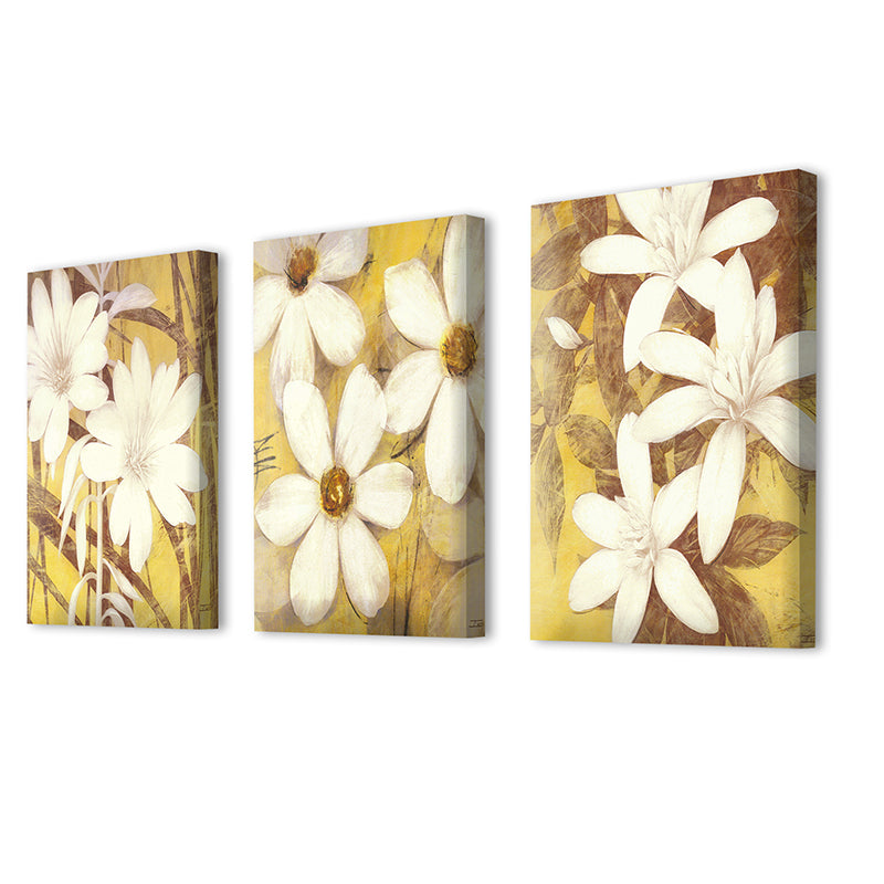 Wall Art & Paintings - Pristine Daisy Wall Painting - Set Of Three