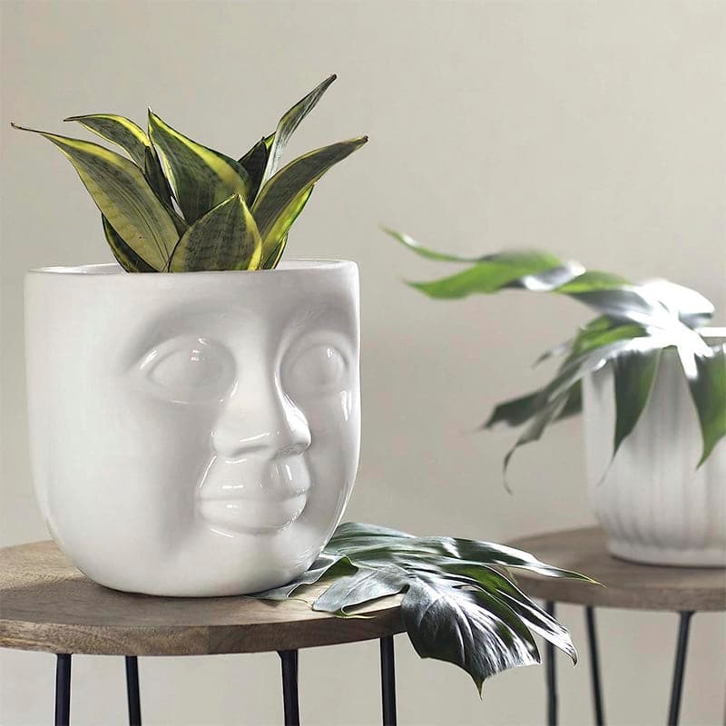 Buy Ugaoo Kid Pleasant Face Ceramic Pot Pots & Planters from Vaaree