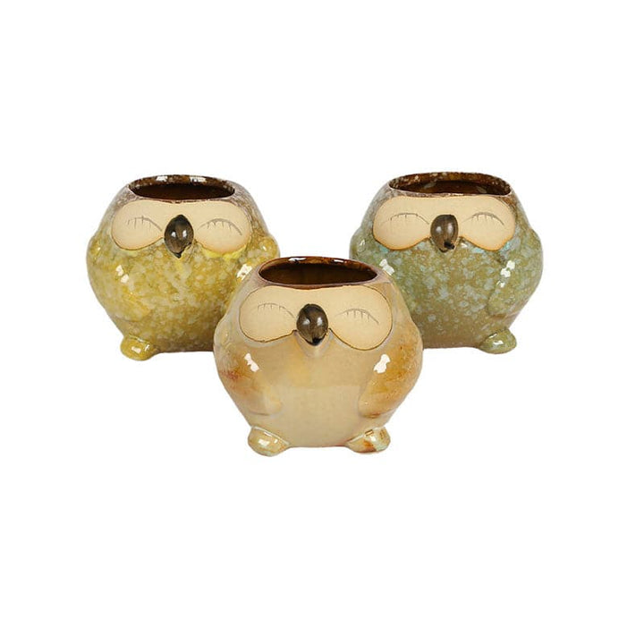 Buy The Golden Owl Planter - Set Of Three at Vaaree online | Beautiful Pots & Planters to choose from