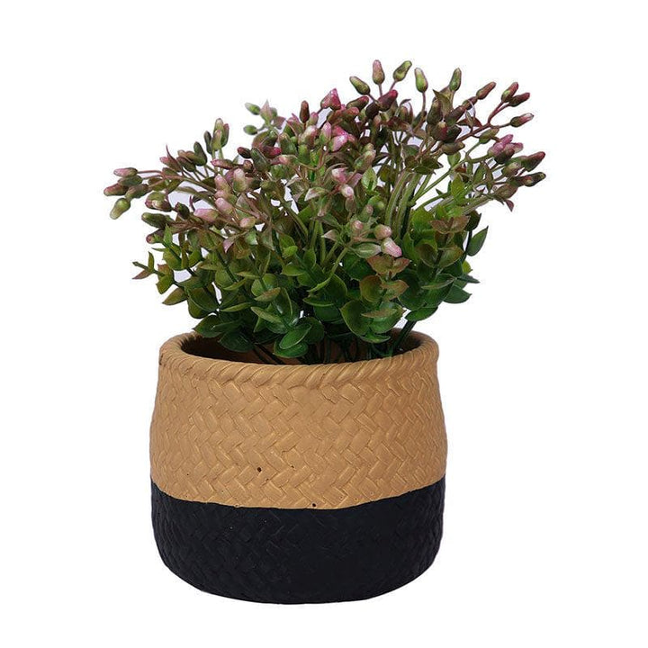 Buy Elea Earthy Planter - Black at Vaaree online | Beautiful Pots & Planters to choose from