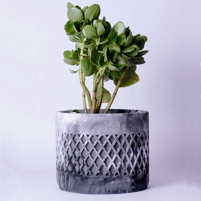 Buy Diemona Blue Planter Pots & Planters from Vaaree