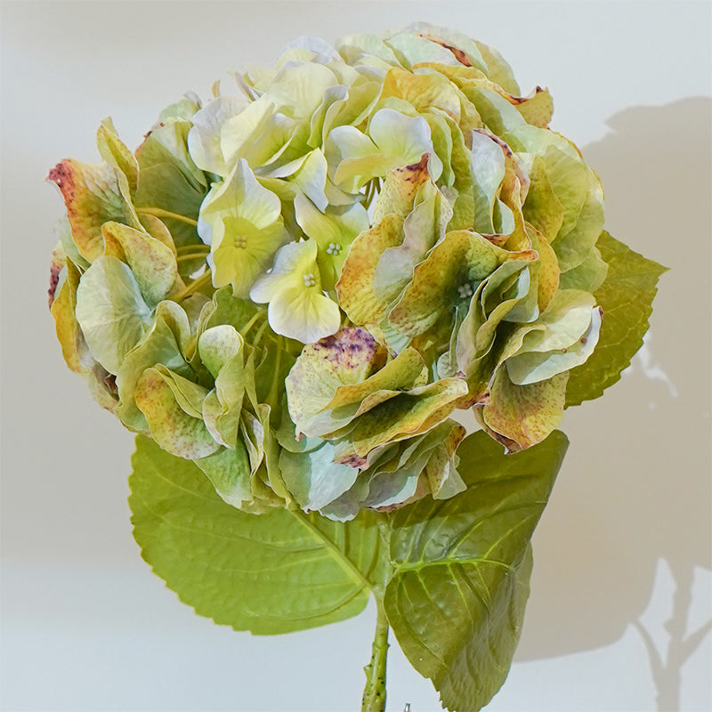 Buy Faux Autumn Hydrangea Flower Stick (Green) - 25 CM Artificial Flowers from Vaaree