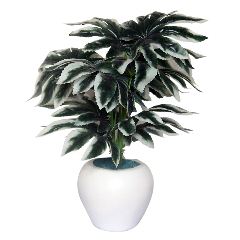 Buy Faux Spider Web Plant With Pot Artificial Plants from Vaaree