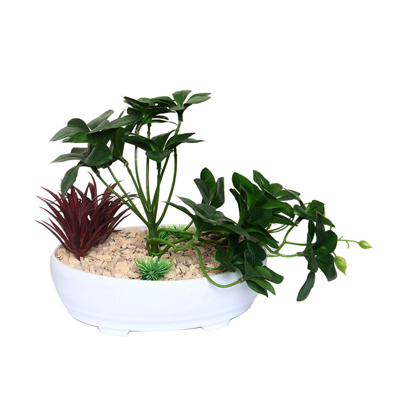 Buy Faux Norae Succulent Plant With Pot Artificial Plants from Vaaree