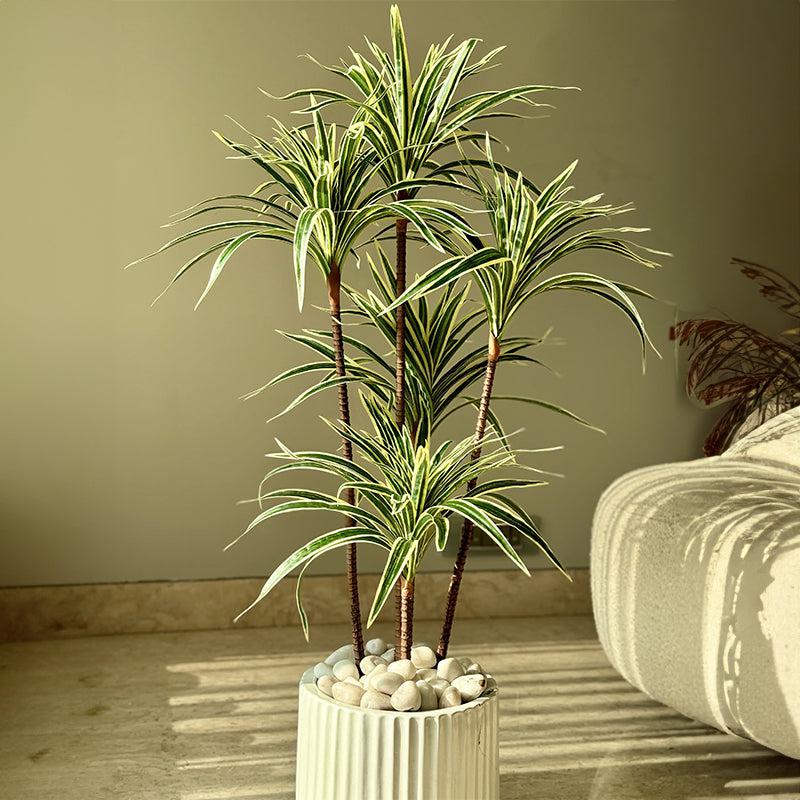 Buy Faux Spider Palm Tree - 3 Feet Artificial Plants from Vaaree