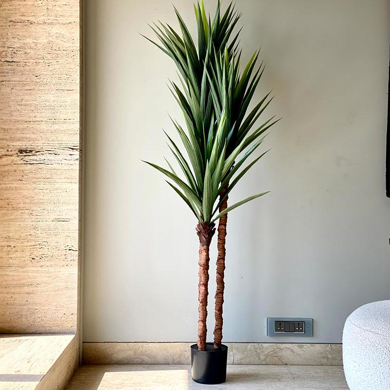 Buy Faux Yucca Tree - 6 Feet Artificial Plants from Vaaree