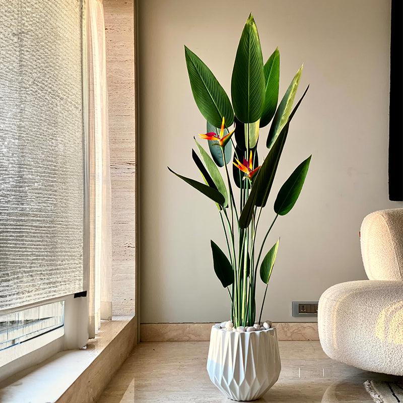 Buy Faux Strelitzia Palm Tree - 5 Feet Artificial Plants from Vaaree