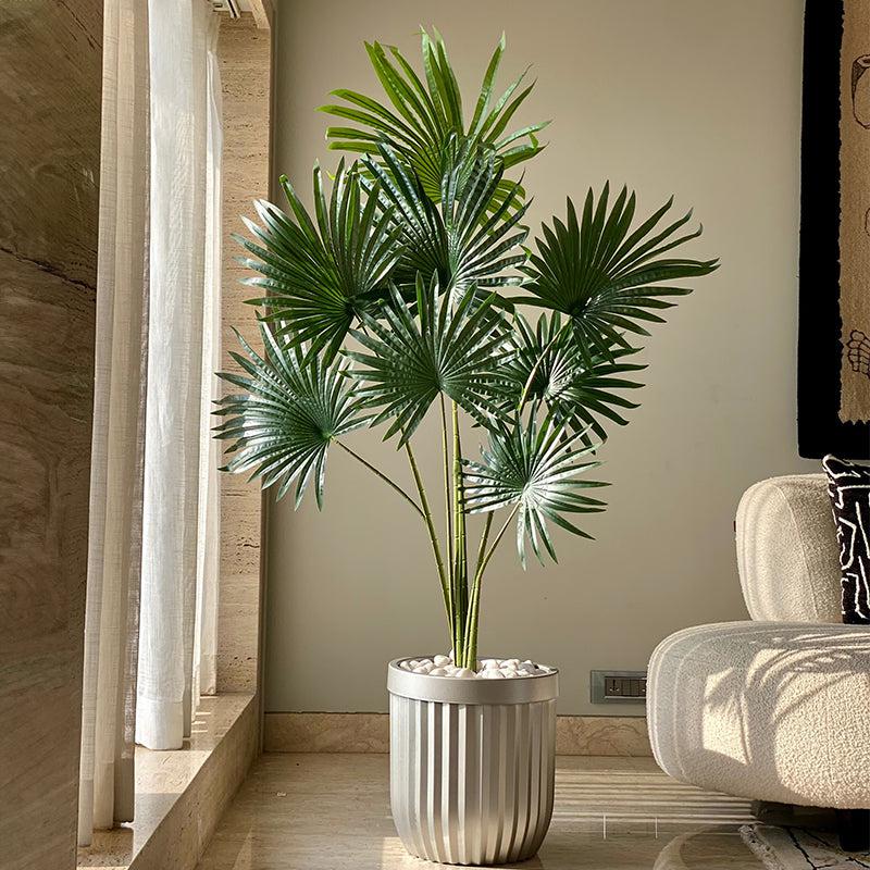 Buy Faux Fan Palm Tree - 5 Feet Artificial Plants from Vaaree