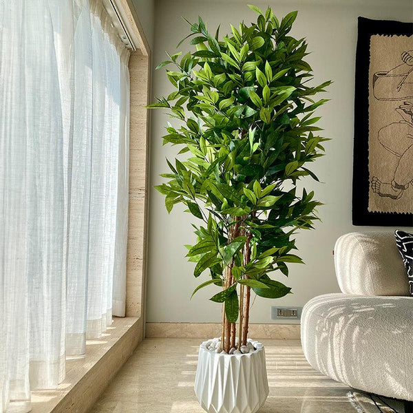 Buy Faux Dracaena Surculosa Tree - 6 Feet Artificial Plants from Vaaree