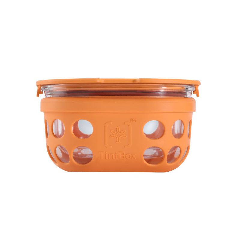 Tiffin Box & Storage Box - Wego Glass Storage Container (300 ML) - Orange