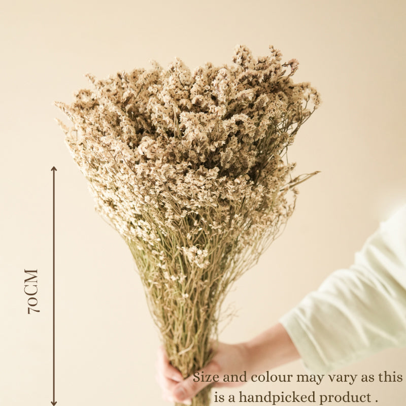 Artificial Flowers - Dried Start Grass Stem - Set Of Five