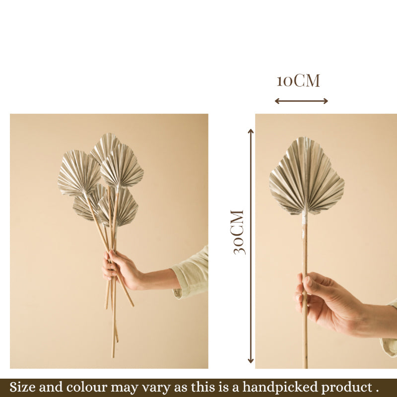 Artificial Flowers - Dried Round Palm Leaf Stem - Set Of Five