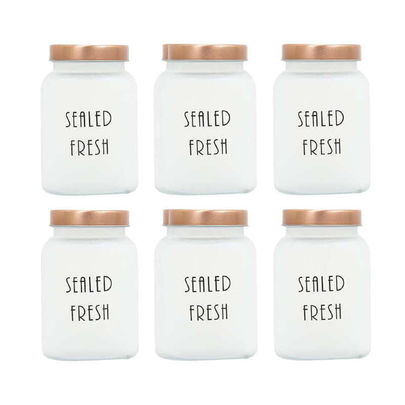 Container - Fresh Nibble Container (1000 ML) - Set Of Six