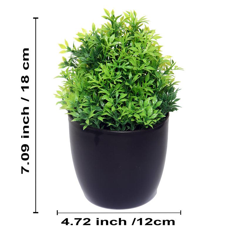 Buy Faux Kesa Plant With Pot - Set Of Three Artificial Plants from Vaaree