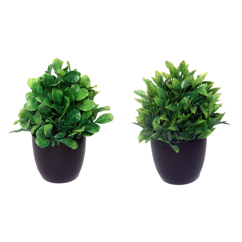 Buy Faux Shamrock Leaf Plant With Pot - Set Of Two Artificial Plants from Vaaree