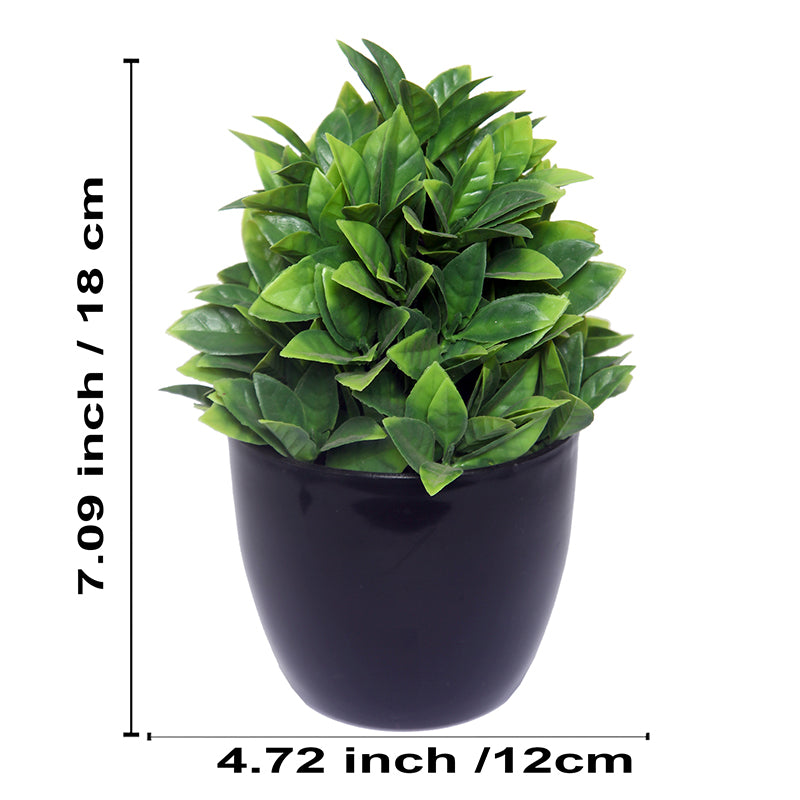 Buy Faux Sherry Plant With Pot - Set Of Three Artificial Plants from Vaaree