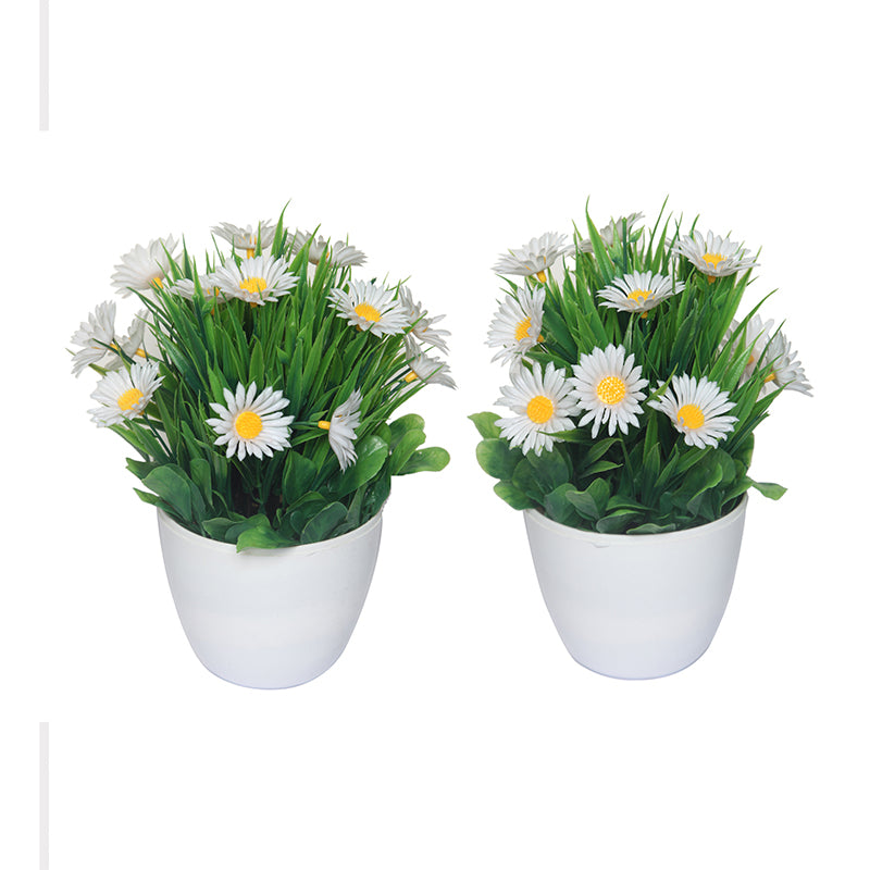 Buy Faux White Daisy Plant With Pot - Set Of Two Artificial Plants from Vaaree