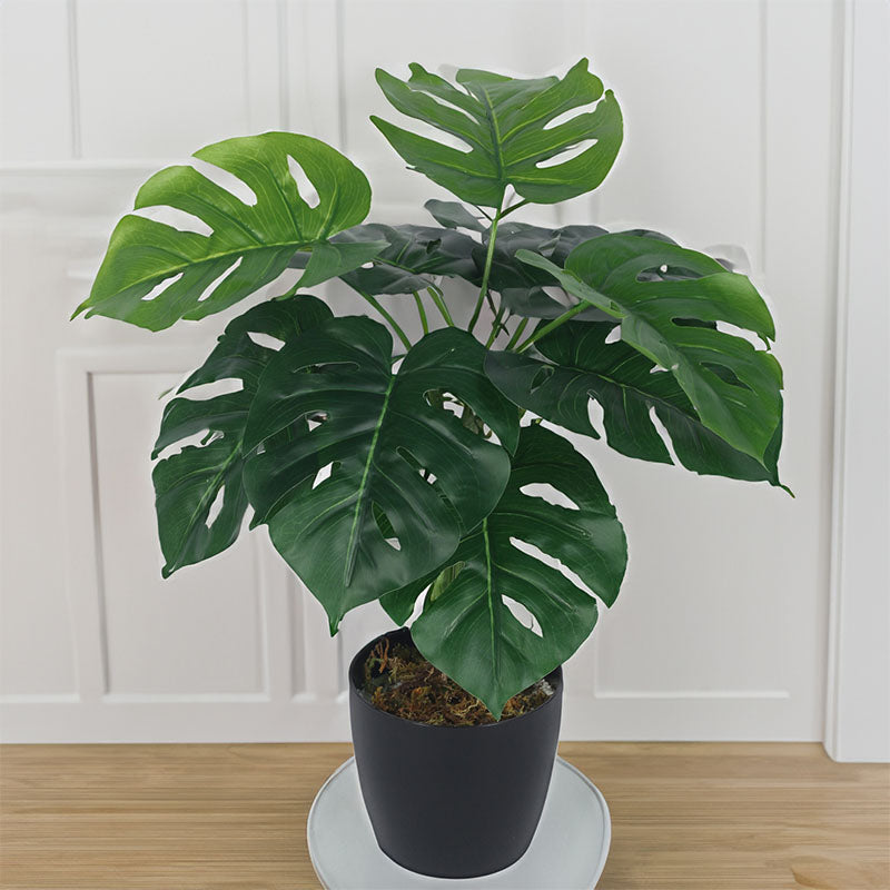 Buy Faux Multicolor Monstera Silk Plant With Pot - 55 cms Artificial Plants from Vaaree