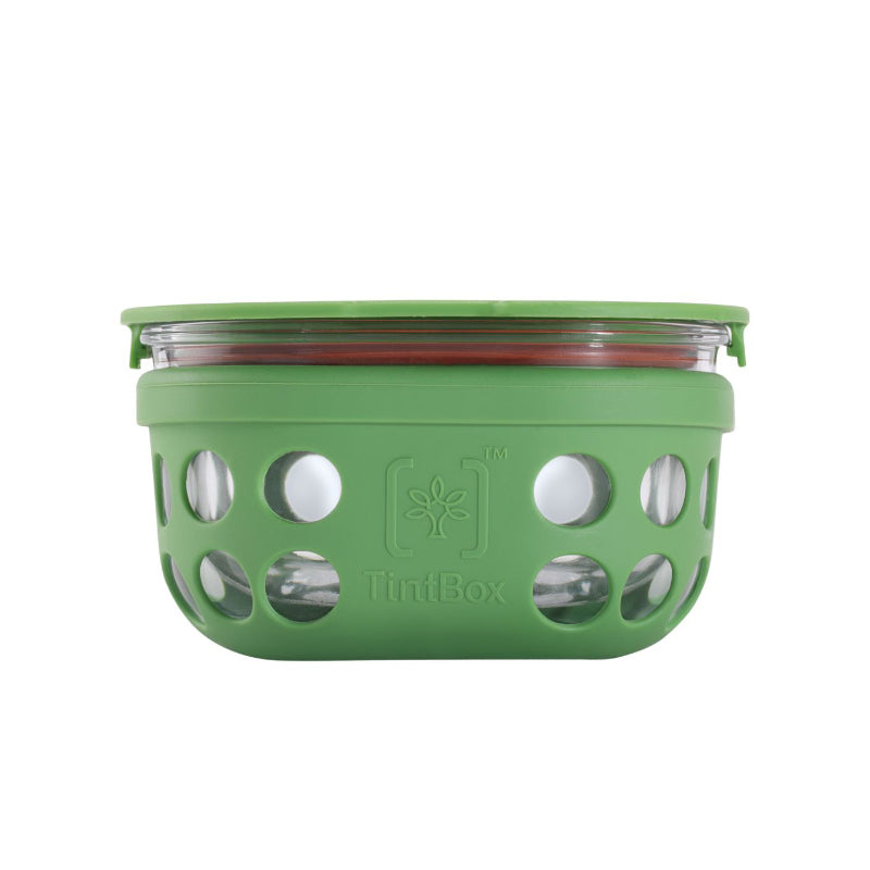 Tiffin Box & Storage Box - Wego Glass Storage Container (300 ML) - Green