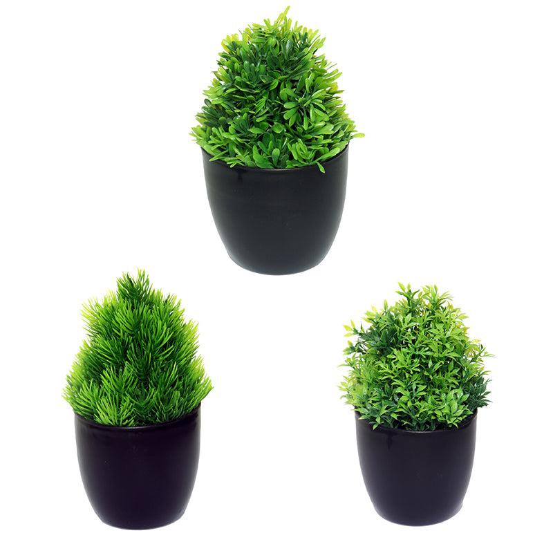 Buy Faux Kesa Plant With Pot - Set Of Three Artificial Plants from Vaaree