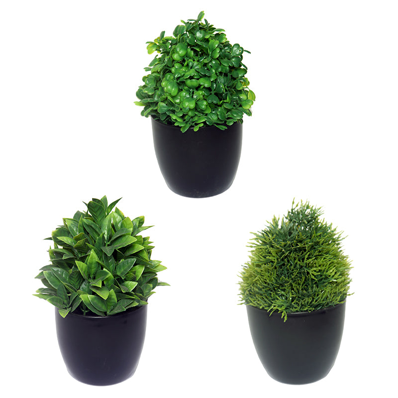 Buy Faux Sherry Plant With Pot - Set Of Three Artificial Plants from Vaaree