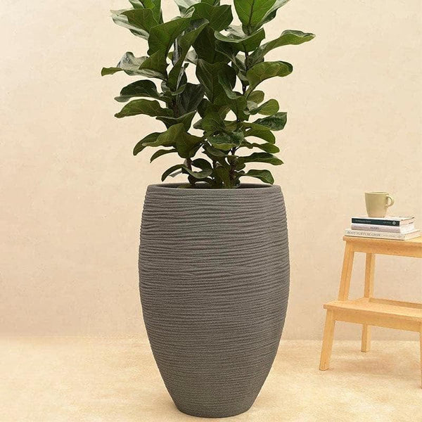 Buy Ugaoo Rib High Planter (43 CM) - Grey Pots & Planters from Vaaree