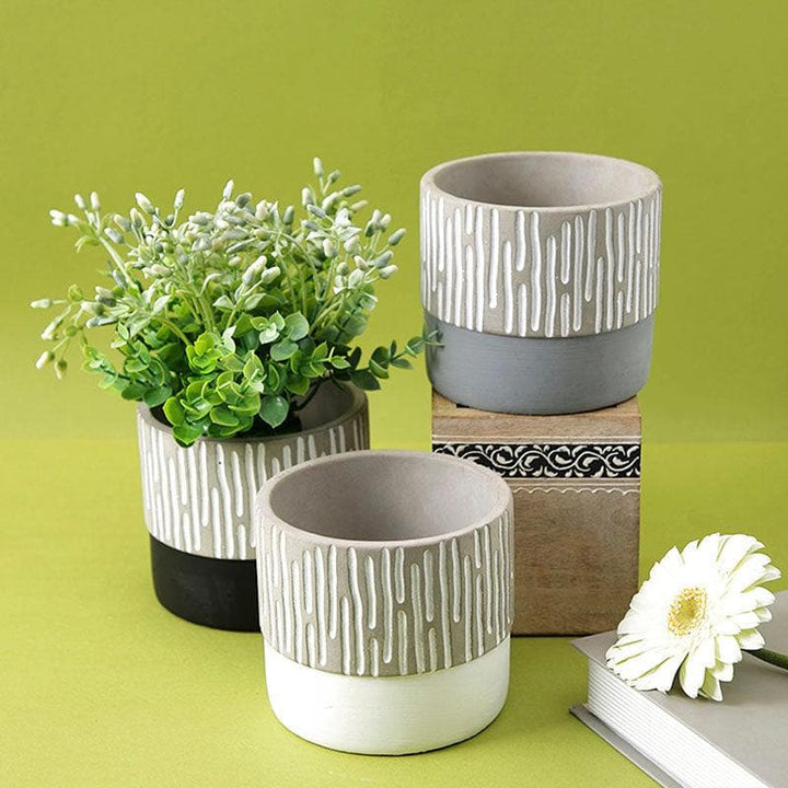 Buy Esra Planter - Set Of Three at Vaaree online | Beautiful Pots & Planters to choose from
